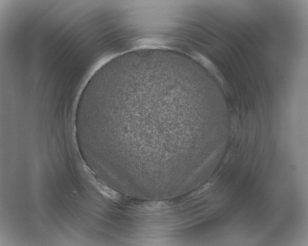 X0000062141435200512231453