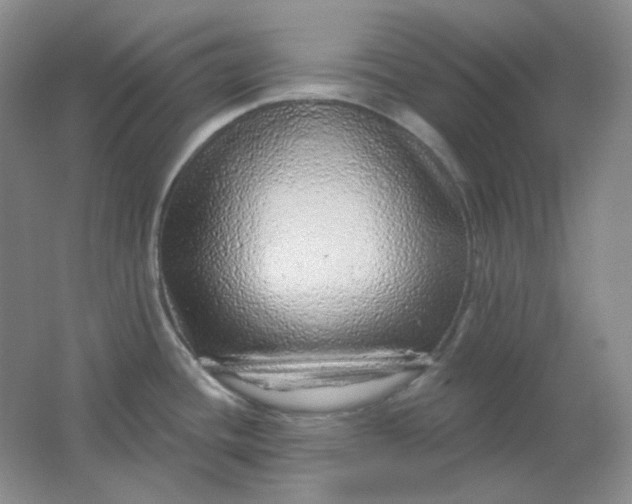 X0000062141436200512231453