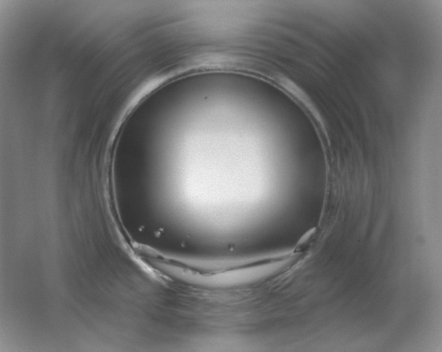 X0000062141437200512231453