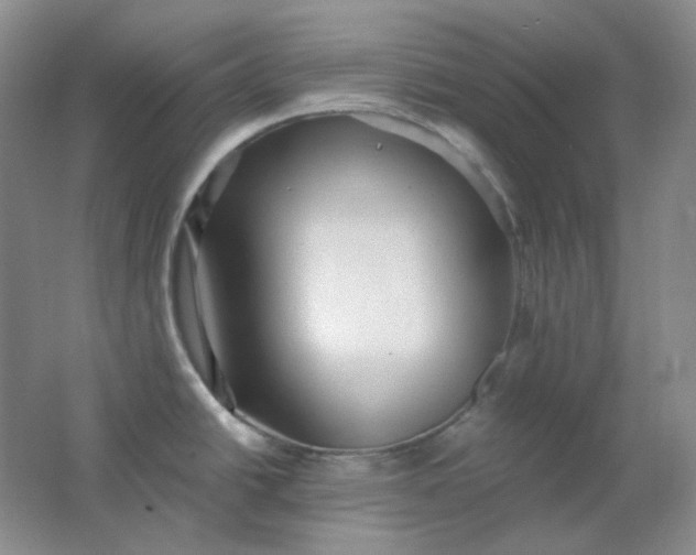 X0000062141438200512231453