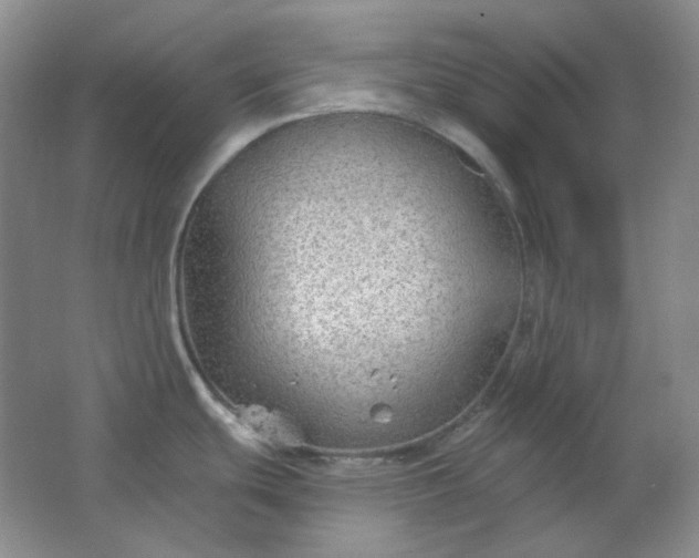 X0000062141439200512231453