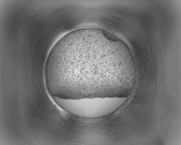 X0000062141440200512231453