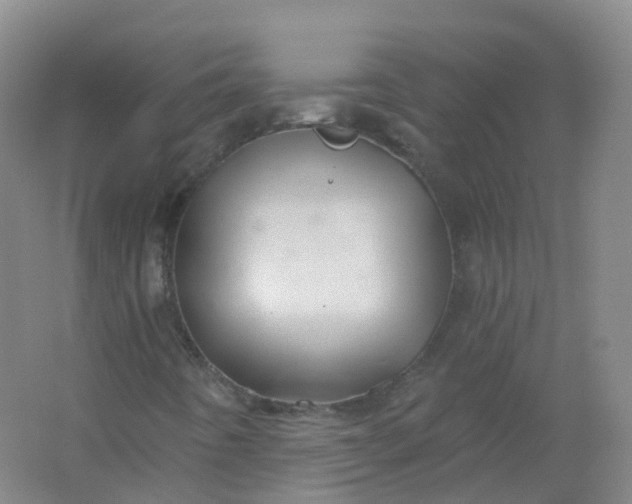 X0000062141442200512231452