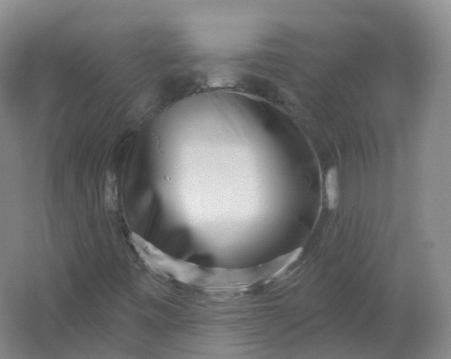 X0000062141443200512231452