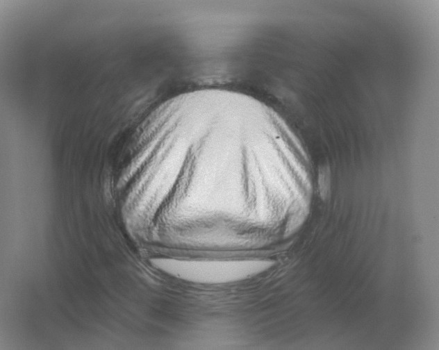 X0000062141444200512231452