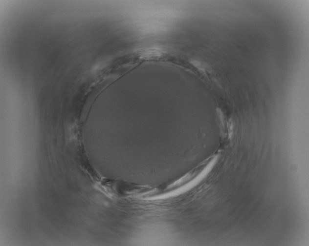 X0000062141445200512231452