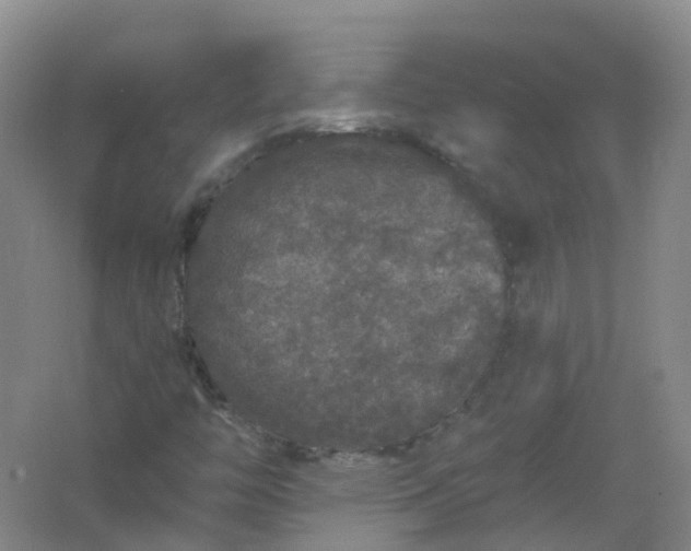 X0000062141446200512231452