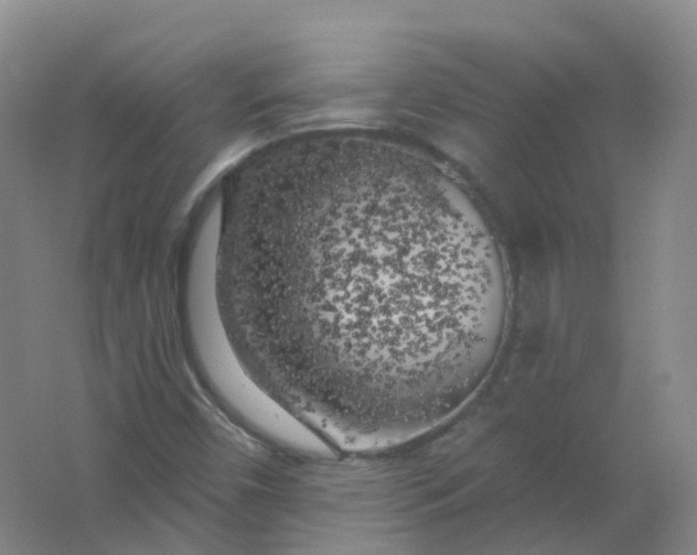 X0000062141450200512231452