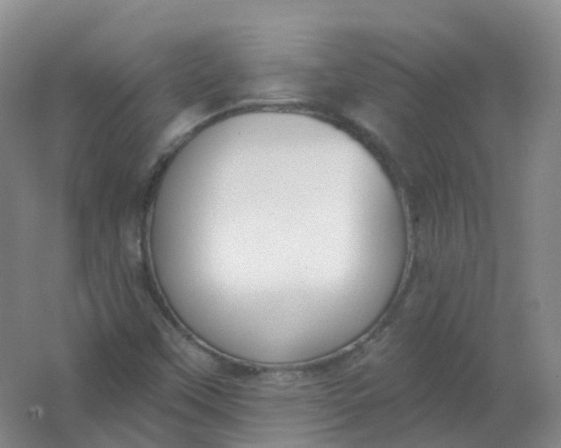 X0000062141451200512231452