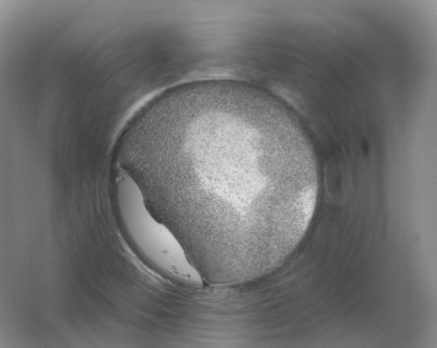 X0000062141452200512231452