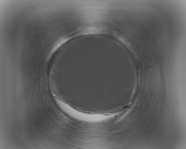 X0000062141453200512231452