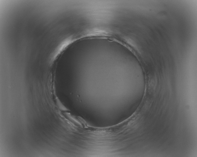 X0000062141455200512231452