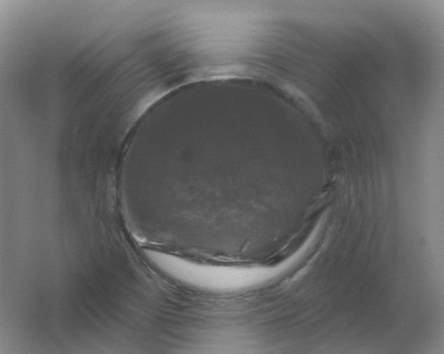 X0000062141457200512231452