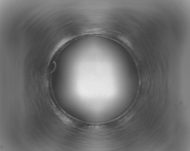 X0000062141458200512231452