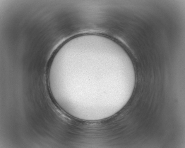 X0000062141460200512231452