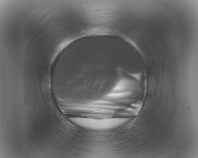 X0000062141461200512231452