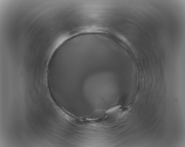 X0000062141463200512231452