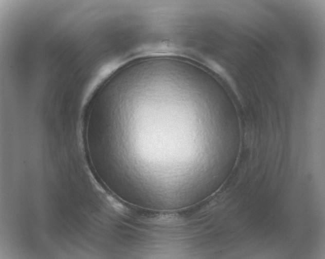 X0000062141464200512231452