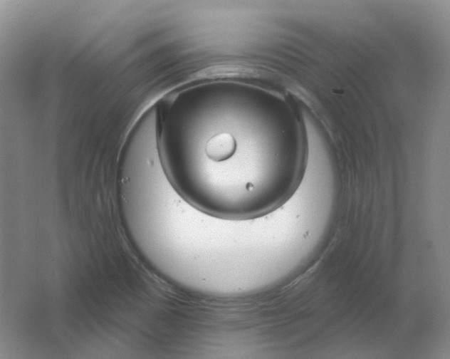 X0000062141465200512231452