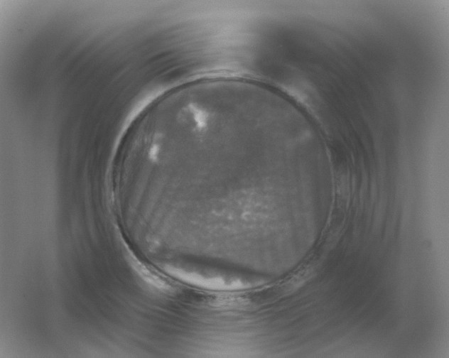 X0000062141466200512231452