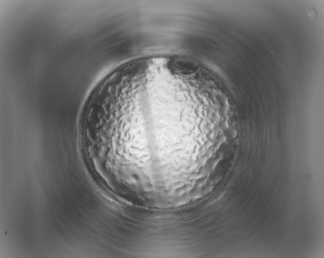 X0000062141467200512231452