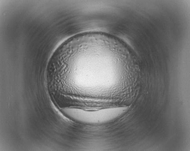 X0000062141468200512231452