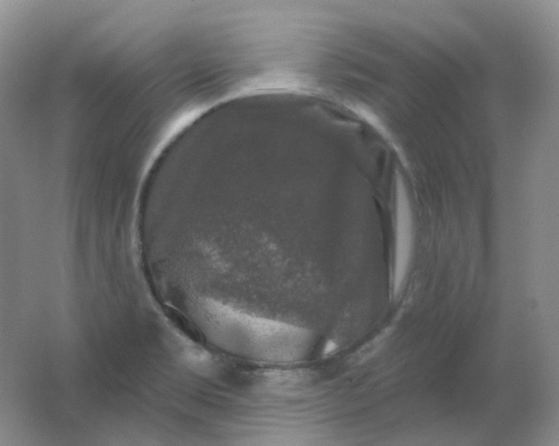 X0000062141469200512231452