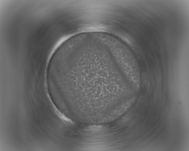 X0000062141470200512231452