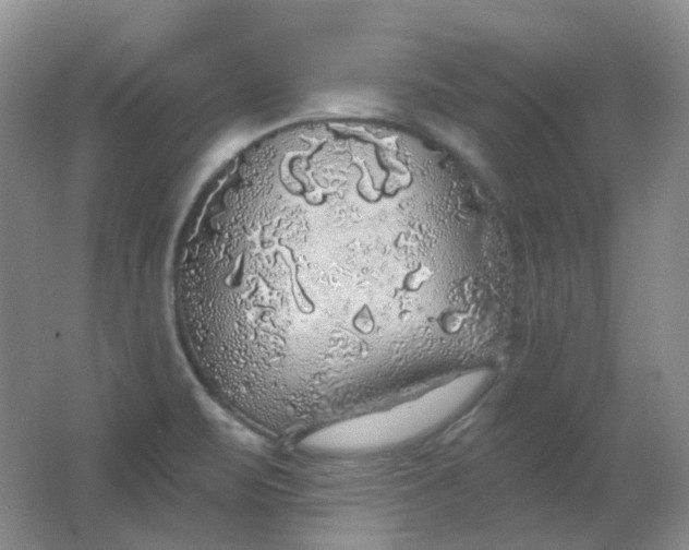 X0000062141471200512231452