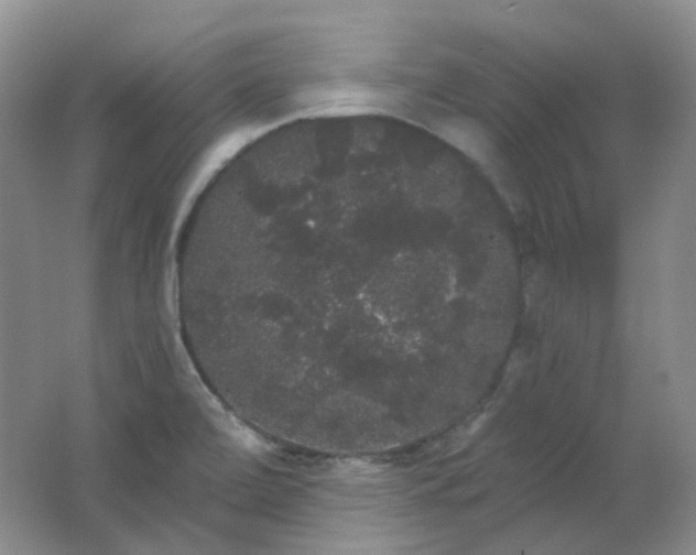 X0000062141472200512231452