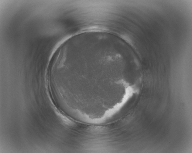 X0000062141474200512231452