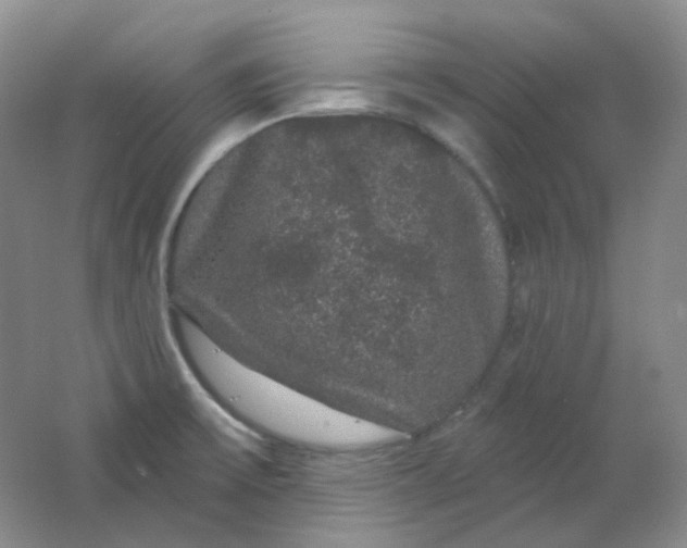 X0000062141475200512231452