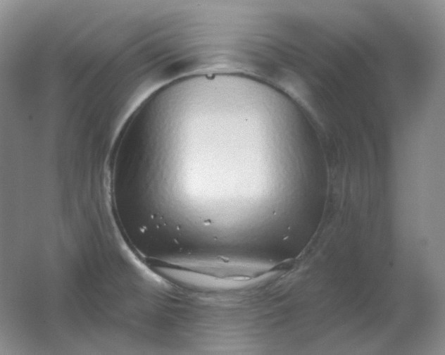 X0000062141476200512231452