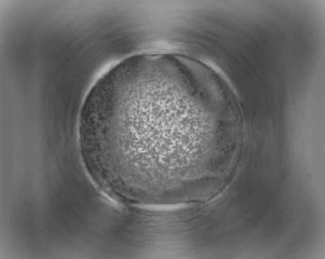 X0000062141477200512231451