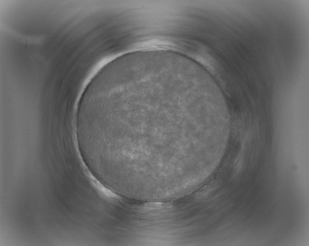 X0000062141478200512231451