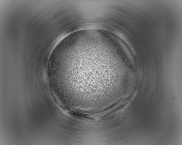 X0000062141481200512231451