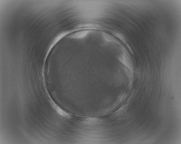 X0000062141482200512231451