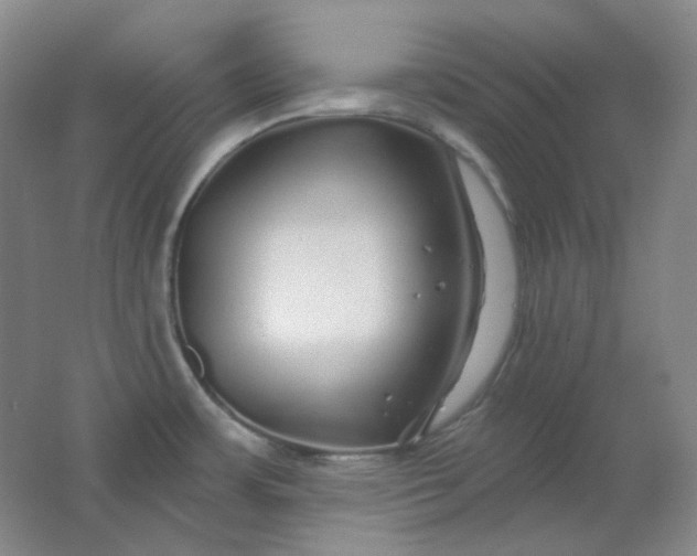 X0000062141483200512231451