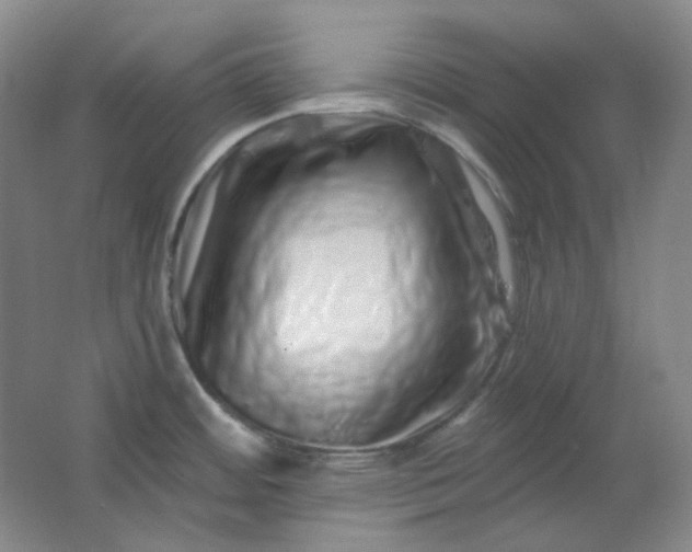 X0000062141484200512231451