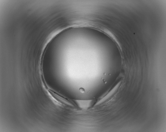 X0000062141485200512231451