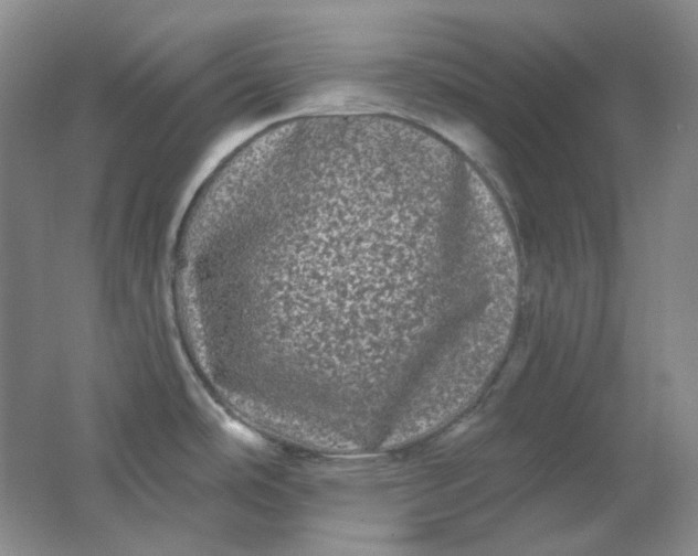 X0000062141486200512231451