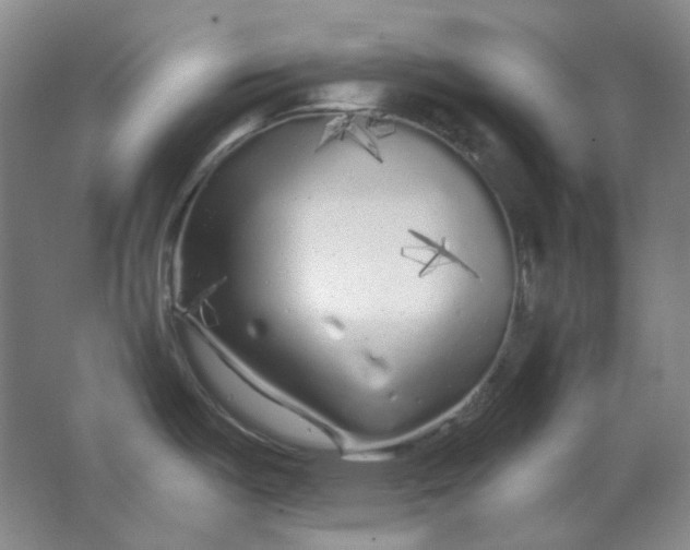 X0000062141487200512231451