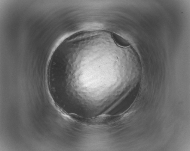 X0000062141488200512231451