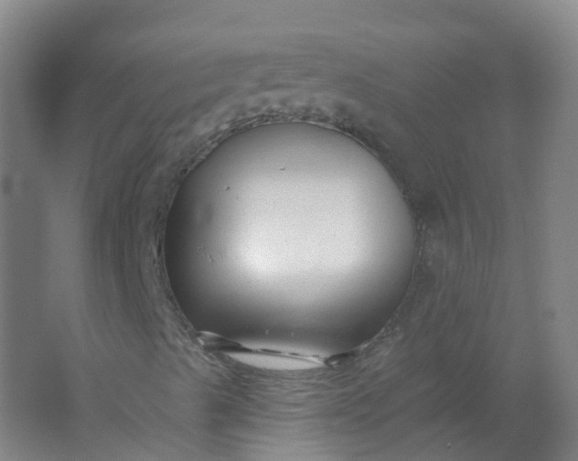 X0000062141489200512231450