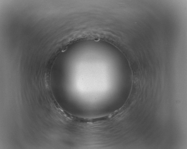 X0000062141490200512231450