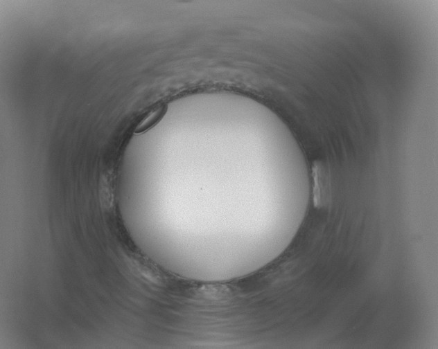 X0000062141491200512231451