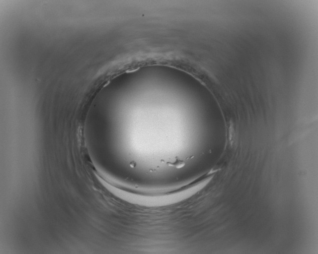 X0000062141492200512231451