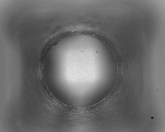 X0000062141493200512231451