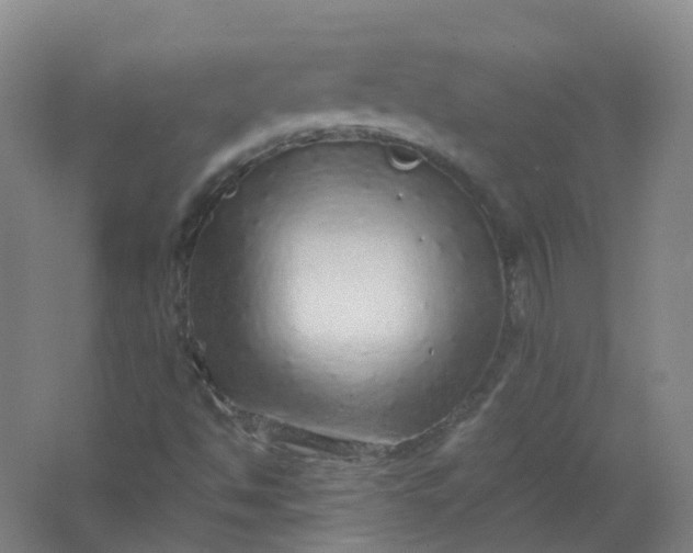 X0000062141494200512231451