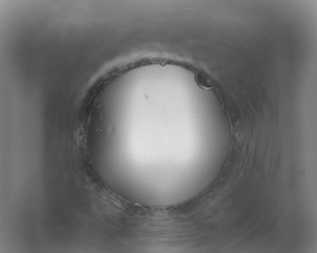 X0000062141495200512231451